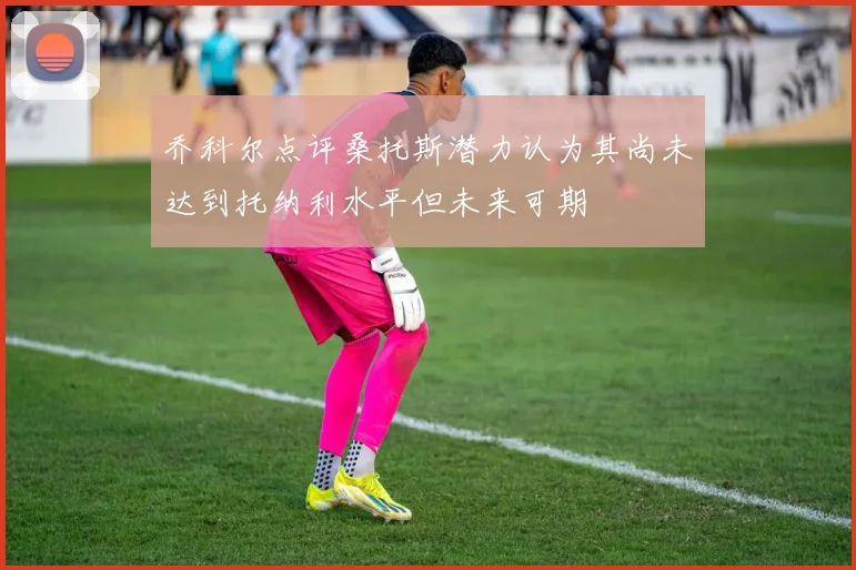 乔科尔点评桑托斯潜力认为其尚未达到托纳利水平但未来可期