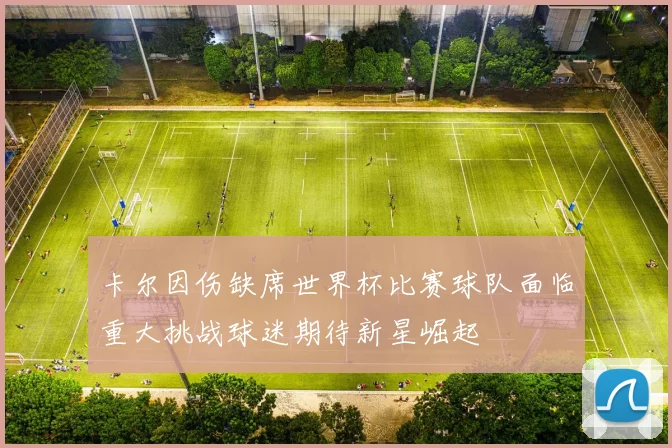 卡尔因伤缺席世界杯比赛球队面临重大挑战球迷期待新星崛起